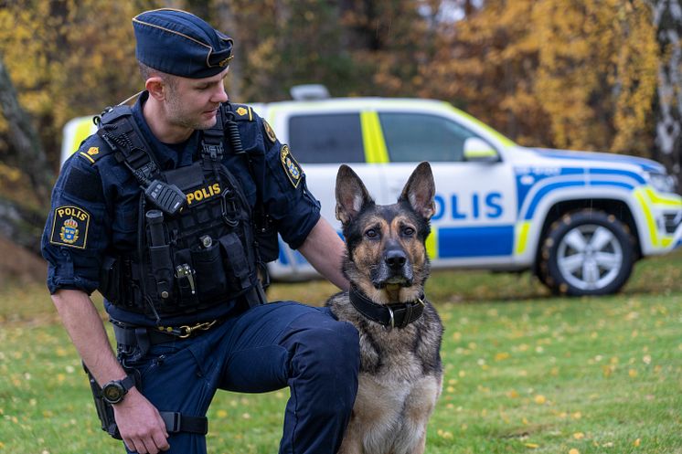 Årets polishund 2020