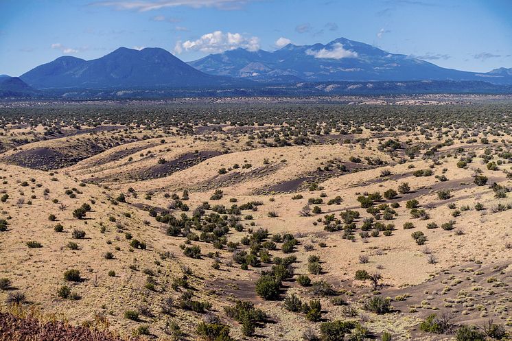 San Francisco Peaks