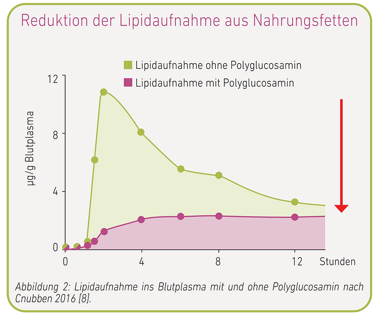 Abb. 2 Lipidaufnahme ins Blutplasma mit und ohne Polyglucosamin nach Cnubben 2016 [8]..png