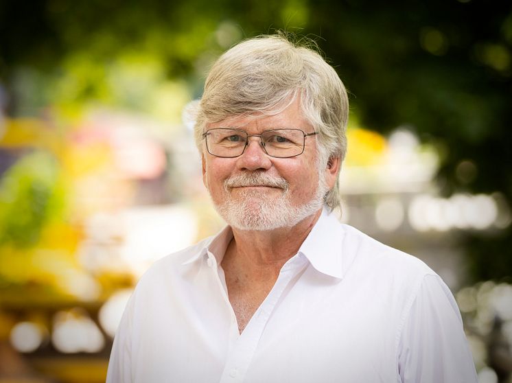 Stefan Hedlund