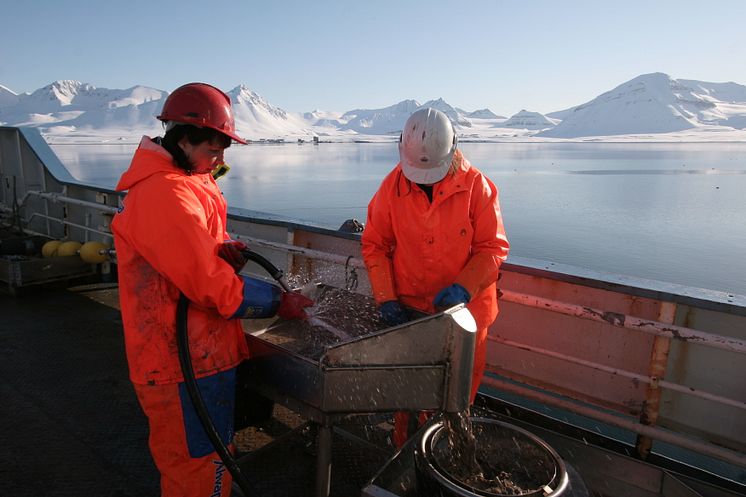 Prøvesortering forskningsfartøy