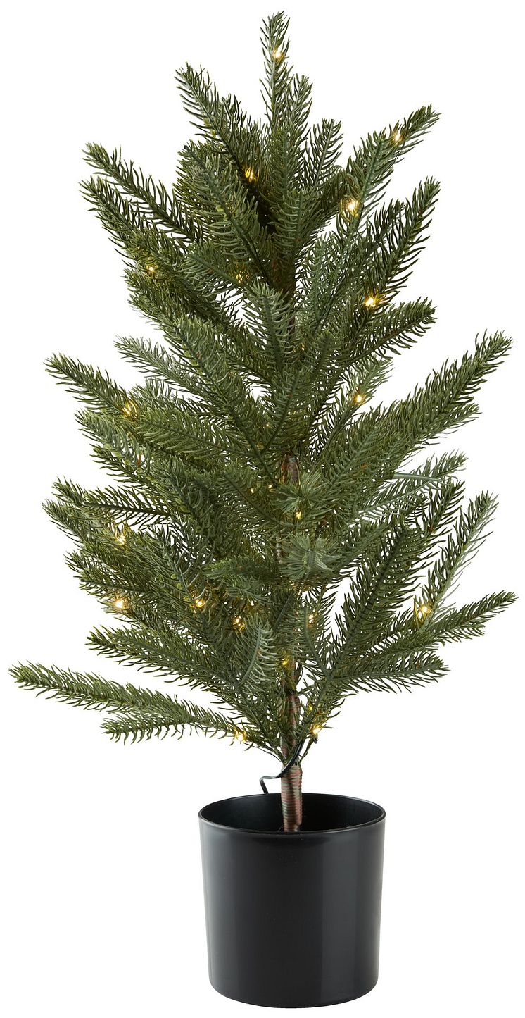 FROST.jpg