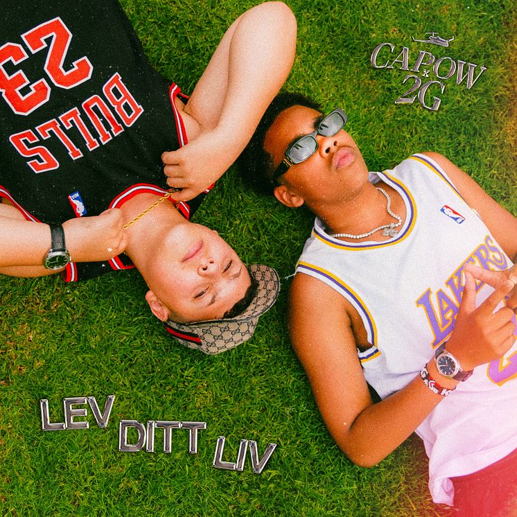 LevDittLiv_Artwork