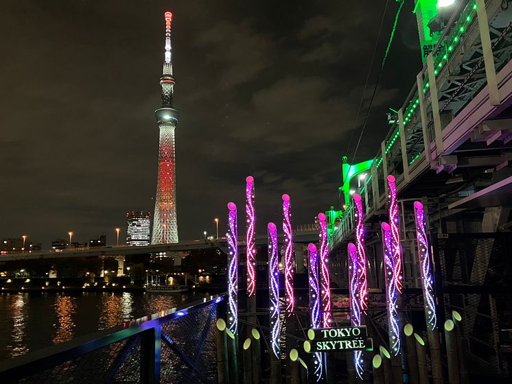 Bamboo Lighting at SUMIDA RIVER WALK