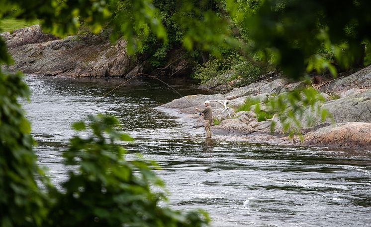 Boen Farm - Salmon fishing - Photo-Adam Enochsson_Newslab_Visitnorway.com (1).jpg