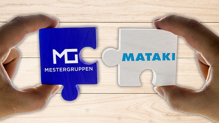 Mestergruppen-mataki