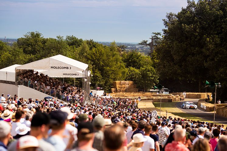 Crowds enjoy the hillclimb action at the Festival of Speed. Ph. by Drew Gibson.