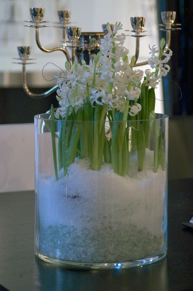 Fantasifullt hyacintarrangemang