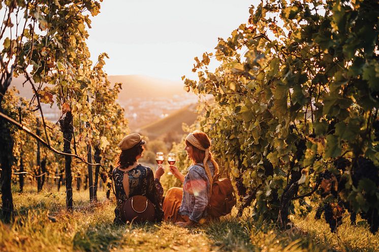 Stuttgart: zwei Personen trinken Wein in den Weinbergen