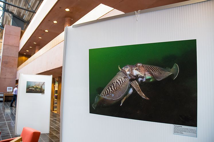 „Aquatische Begegnungen“ in der Wildauer Hochschulbibliothek