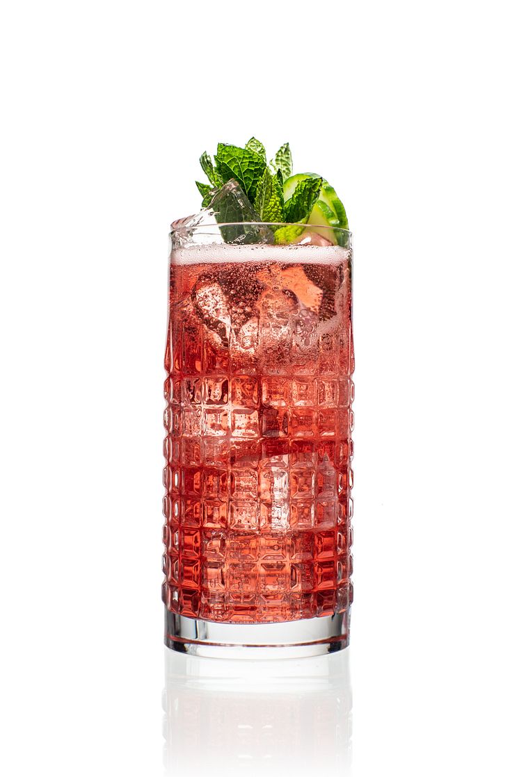 Hendrick's Cranberry Fizz.jpg