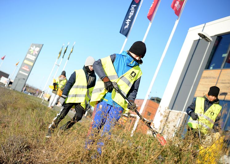 Gränbystädning 2018 med IF VP P06