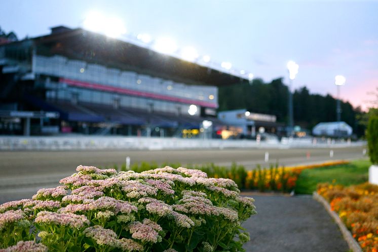 Läktare Solvalla oskarp