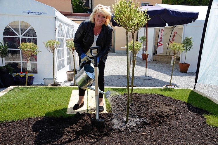 Lena Ek planterar träd i Vi-skogens mini-Afrika i Almedalen
