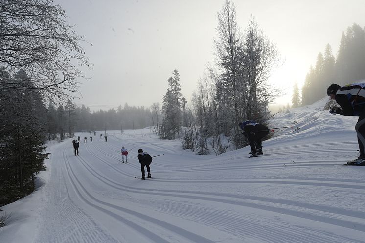 Stafettvasan 2017