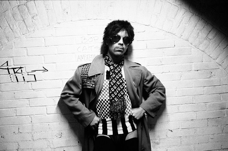 Prince (c) Virginia Turbett