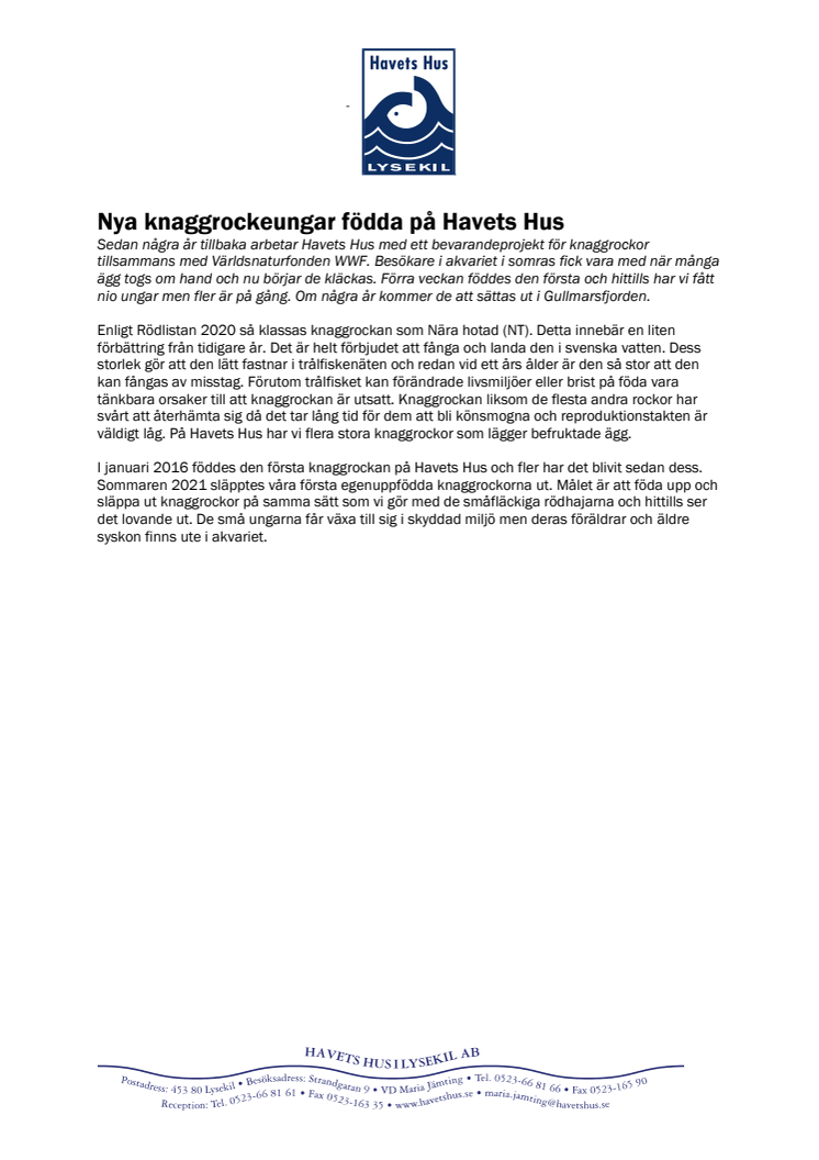 231102 Knaggrockeungar födda.pdf