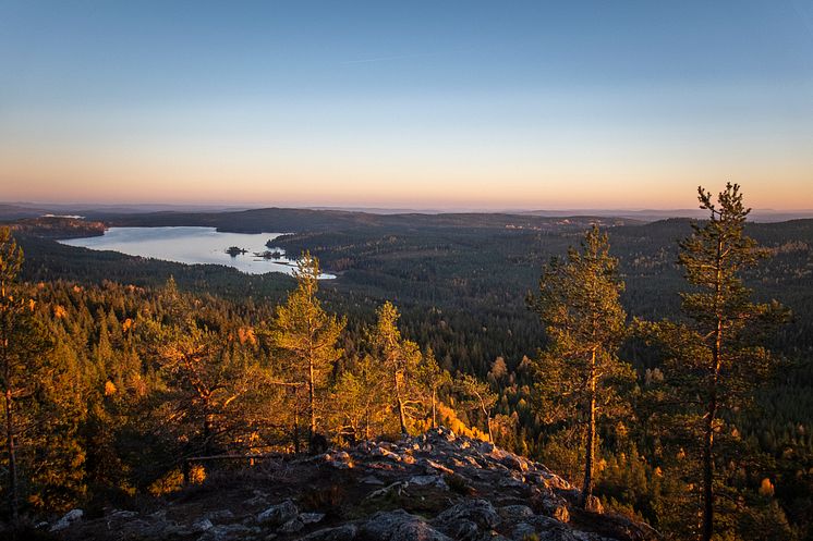 ArtknubbenView_fotoAnnaHolm_VisitDalarna