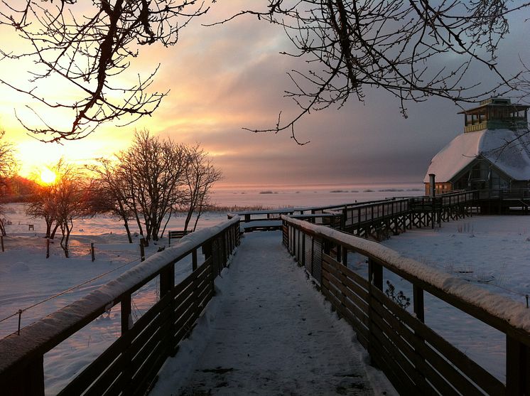 Snö vid Hornborgasjön