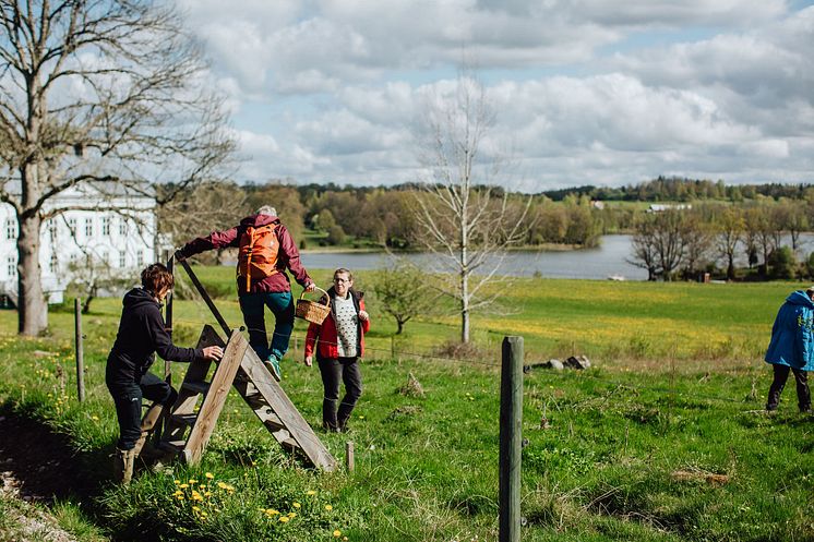 TheEdibleCountry_20190513_FotografEmmaIvarsson-1 (1)