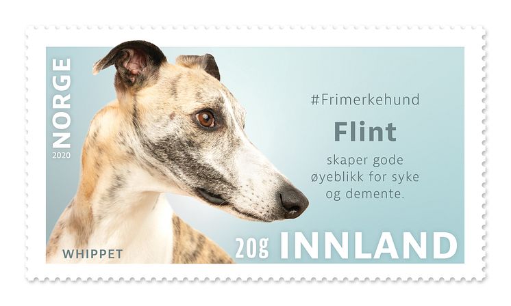 2032_1200 dpi_Flint