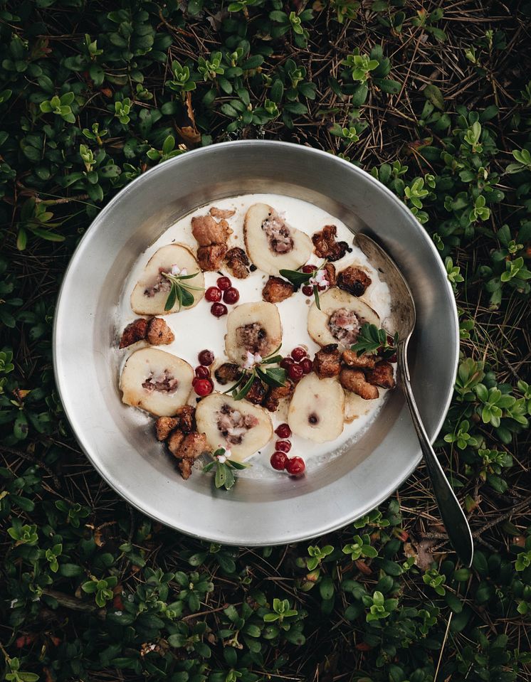 Recept Kroppkakor med gräddmjölk och Jägermeister-doftande fläsk.jpg