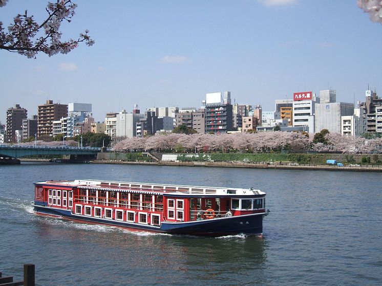 Tokyo Cruise ship