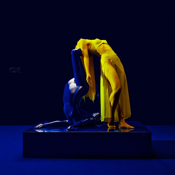 Agnes - BALENCIAGA COVERED EYES (Artwork)