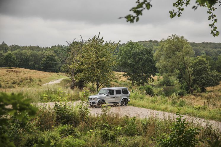 Mercedes-AMG G 63