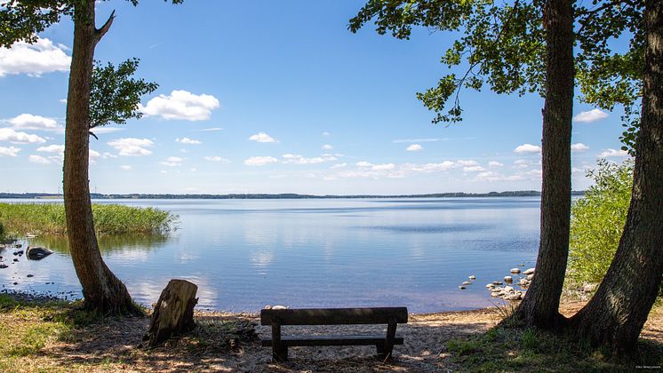 Ringsjön, foto Anna Larsson.jpg