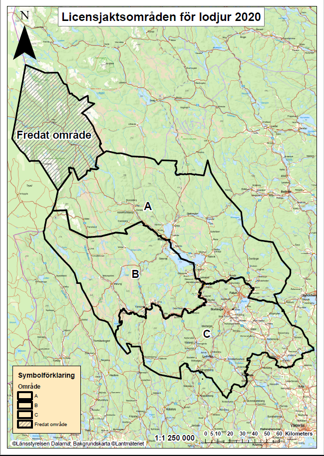 Licensjaktsområden för lodjur 2020