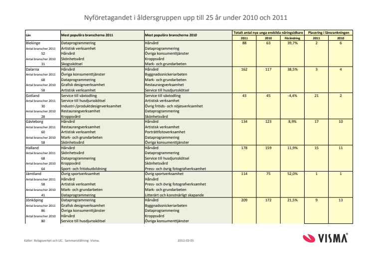 Vismas läns- och branschrapport över nyföretagandet bland ungdomar