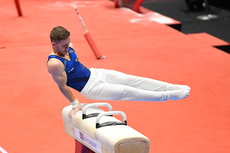 VM i artistisk gymnastik, Kim Wanström