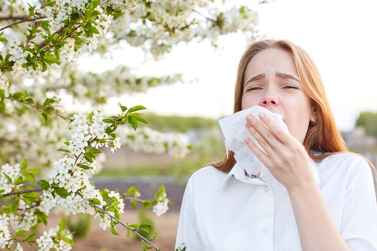 algovir_Allergie oder Erkaeltung_iStock_1088395848