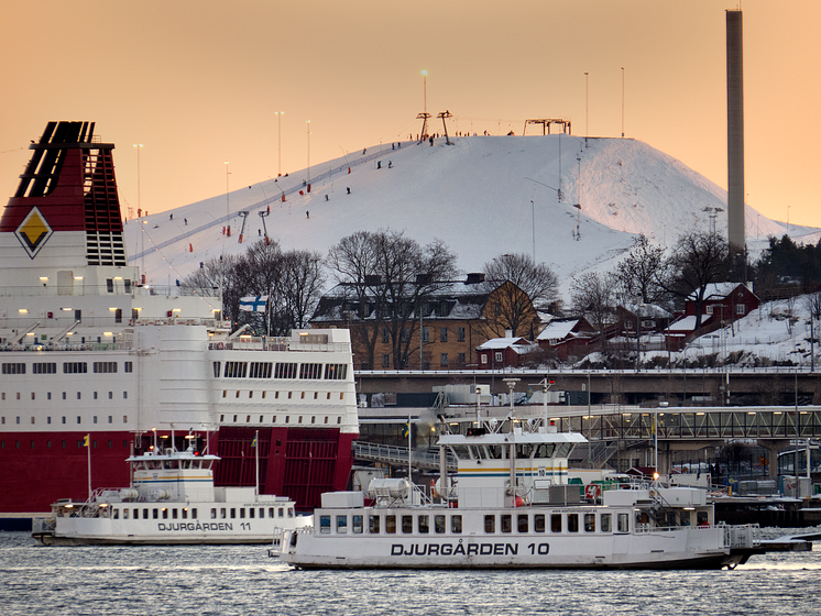 Hammarbybacken - fjällens mest centrala backe