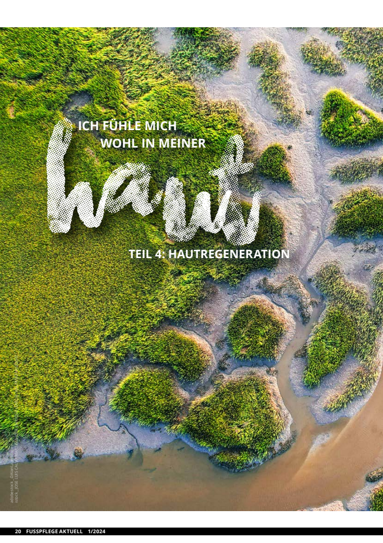 Ich fühle mich wohl in meiner Haut Teil 4: die Hautregeneration