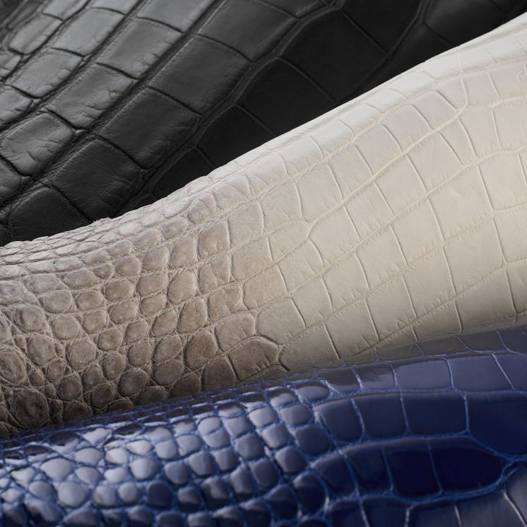 Alligator-crocodile leather.jpg