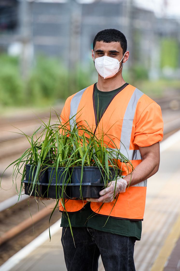 Great Northern and charity Groundwork team up at Alexandra Palace