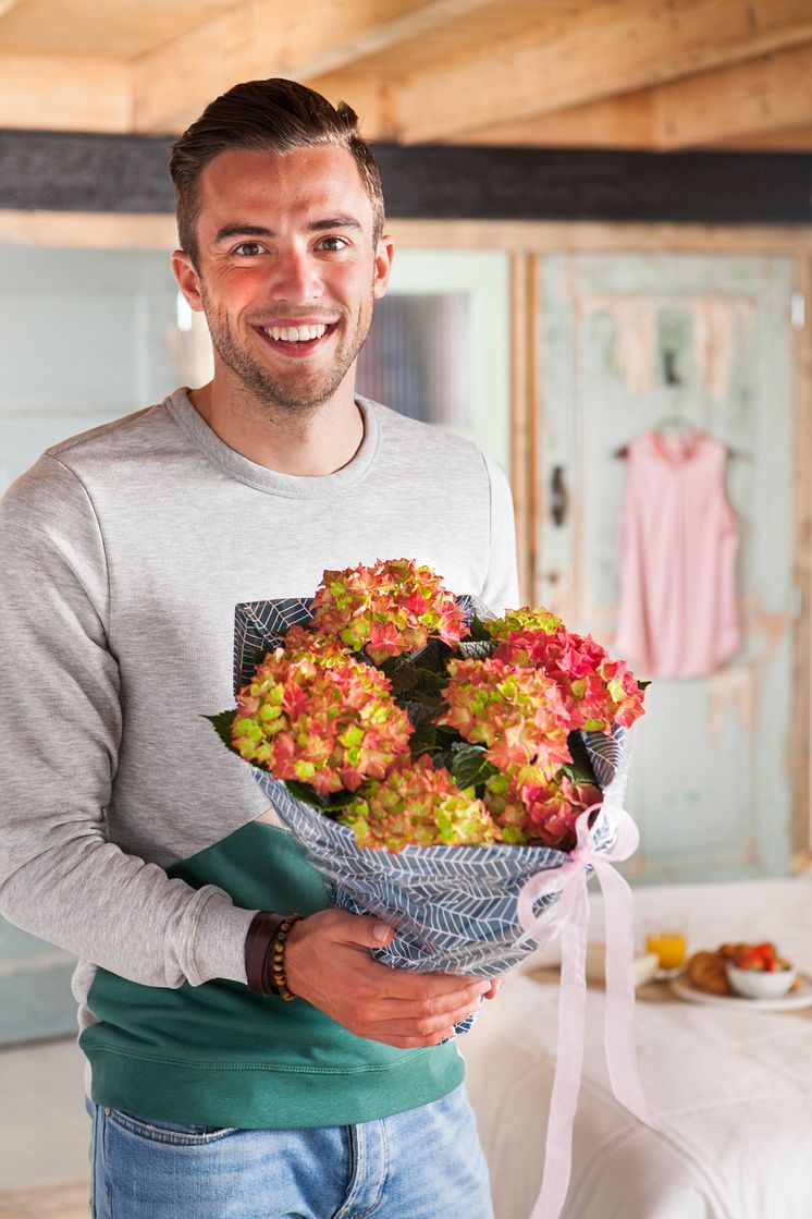 Hortensia - en effektiv luftfuktare med ljuvlig blomning