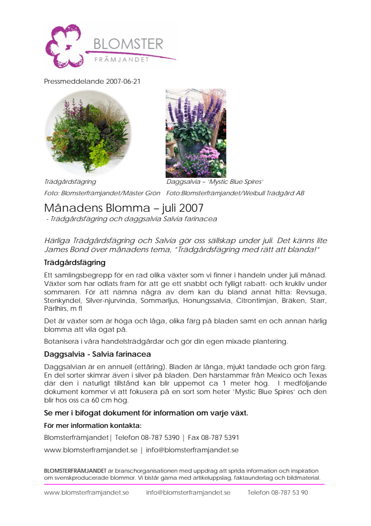 Månadens Blomma - juli 2007