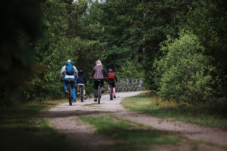 Med familjen på cykel vid Åsnen