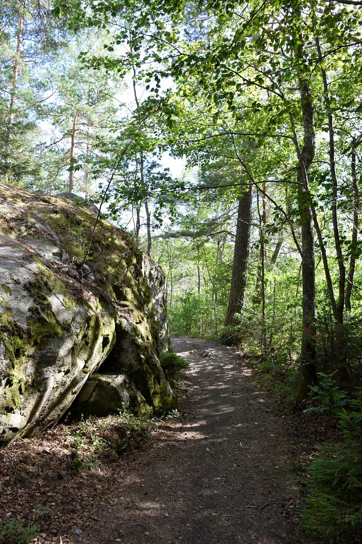 Stig till Bergsjön