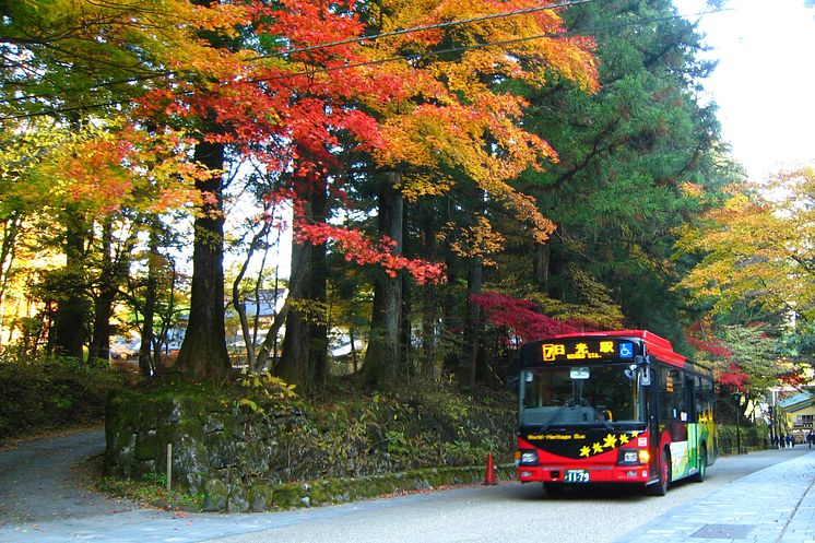 World Heritage bus