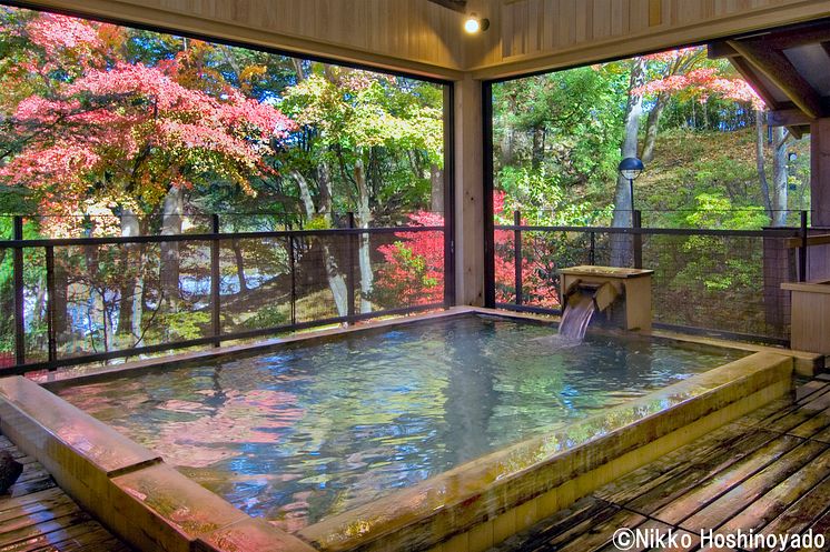 Nikko Hoshinoyado(5)