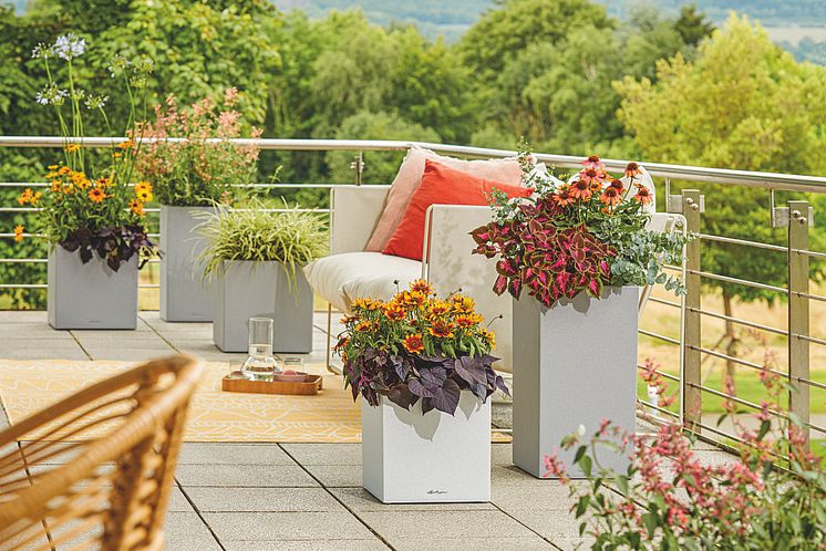 Buntes Pflanzenparadies auf Ihrer Sommerterrasse