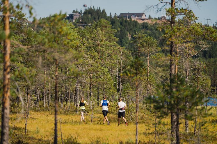 Löpning | Orsa Grönklitt