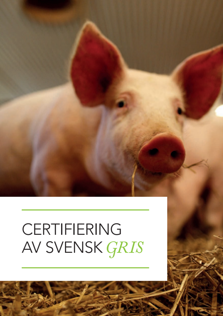 Vill du veta mer om svensk grisuppfödning?