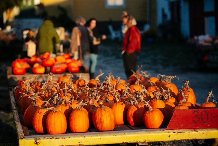 OlandsSkordefest-Pumpor