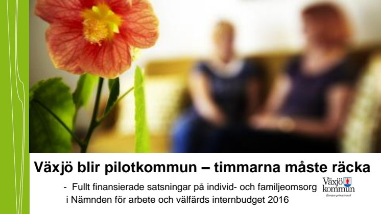 Internbudget 2016