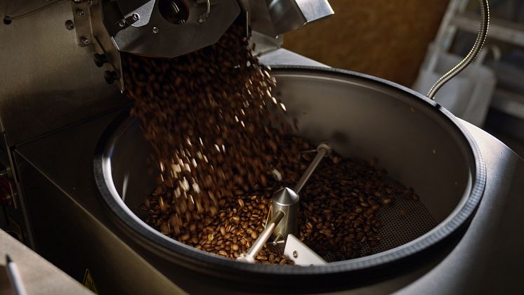 The Bluewater Café Station purifies water of all known contaminants and enhances it using a unique mineral dosing system, ensuring  every cup brewed achieves an unparalleled sensory experience for coffee lovers.